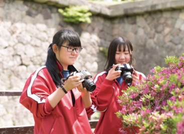 写真